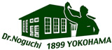 logo-d-green-160-dot