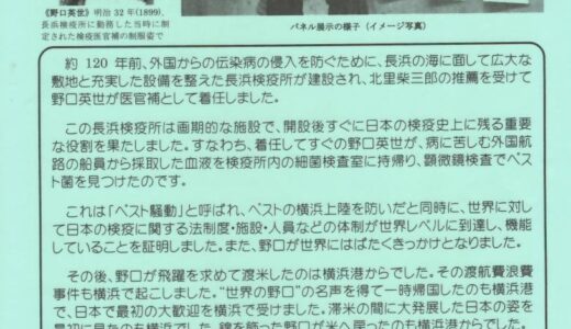 パネル展「野口英世の生涯と横浜、そして長浜検疫所」