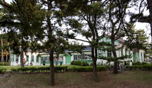 NPO法人を解散し、任意団体「野口英世よこはま顕彰会」として再発足